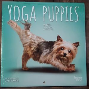 Yoga puppies 2020 18 month calendar